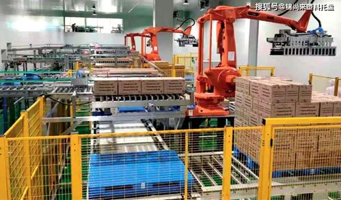 食品冷链物流 塑料托盘如何助力冷库建设，守护冰淇淋好口感